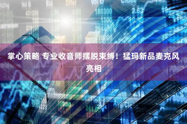 掌心策略 专业收音师摆脱束缚！猛玛新品麦克风亮相