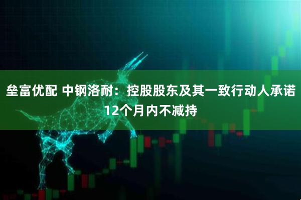 垒富优配 中钢洛耐：控股股东及其一致行动人承诺12个月内不减持