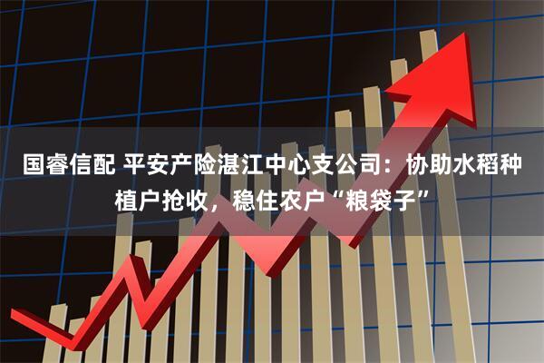 国睿信配 平安产险湛江中心支公司：协助水稻种植户抢收，稳住农户“粮袋子”
