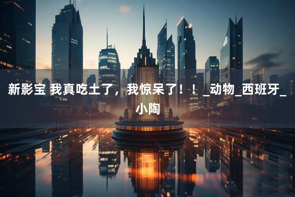 新影宝 我真吃土了，我惊呆了！！_动物_西班牙_小陶