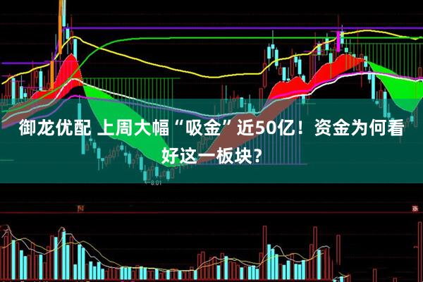 御龙优配 上周大幅“吸金”近50亿！资金为何看好这一板块？