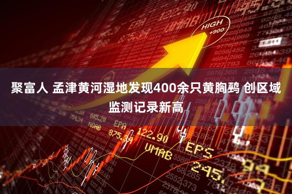 聚富人 孟津黄河湿地发现400余只黄胸鹀 创区域监测记录新高