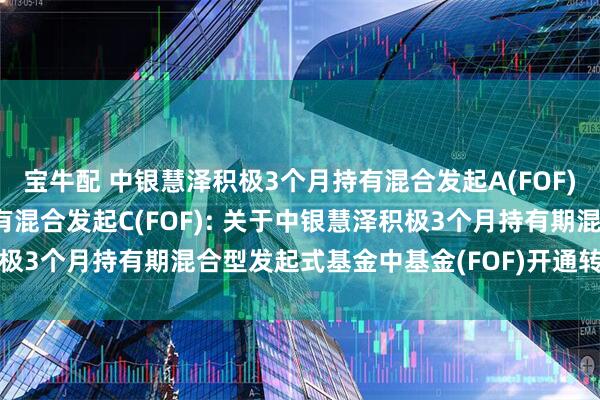 宝牛配 中银慧泽积极3个月持有混合发起A(FOF),中银慧泽积极3个月持有混合发起C(FOF): 关于中银慧泽积极3个月持有期混合型发起式基金中基金(FOF)开通转换业务的公告