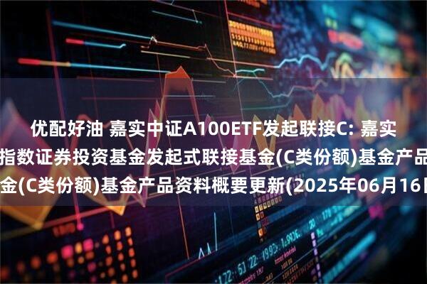 优配好油 嘉实中证A100ETF发起联接C: 嘉实中证A100交易型开放式指数证券投资基金发起式联接基金(C类份额)基金产品资料概要更新(2025年06月16日)