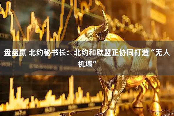 盘盘赢 北约秘书长：北约和欧盟正协同打造“无人机墙”