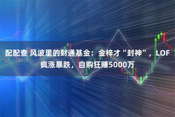配配查 风波里的财通基金：金梓才“封神”，LOF疯涨暴跌，自购狂赚5000万